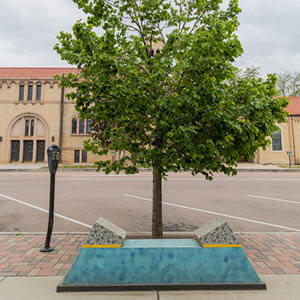 DETH LIGHGHT XXlX: Carmen & The Trees by: (Carmen component) by Joshua Ware of Denver, CO