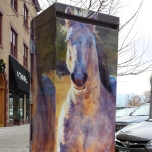 Tejon & Platte