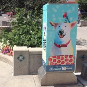 Tejon & Bijou