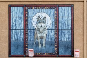 Grey Wolf