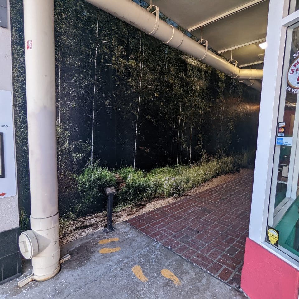 PXL_20221130_174744131