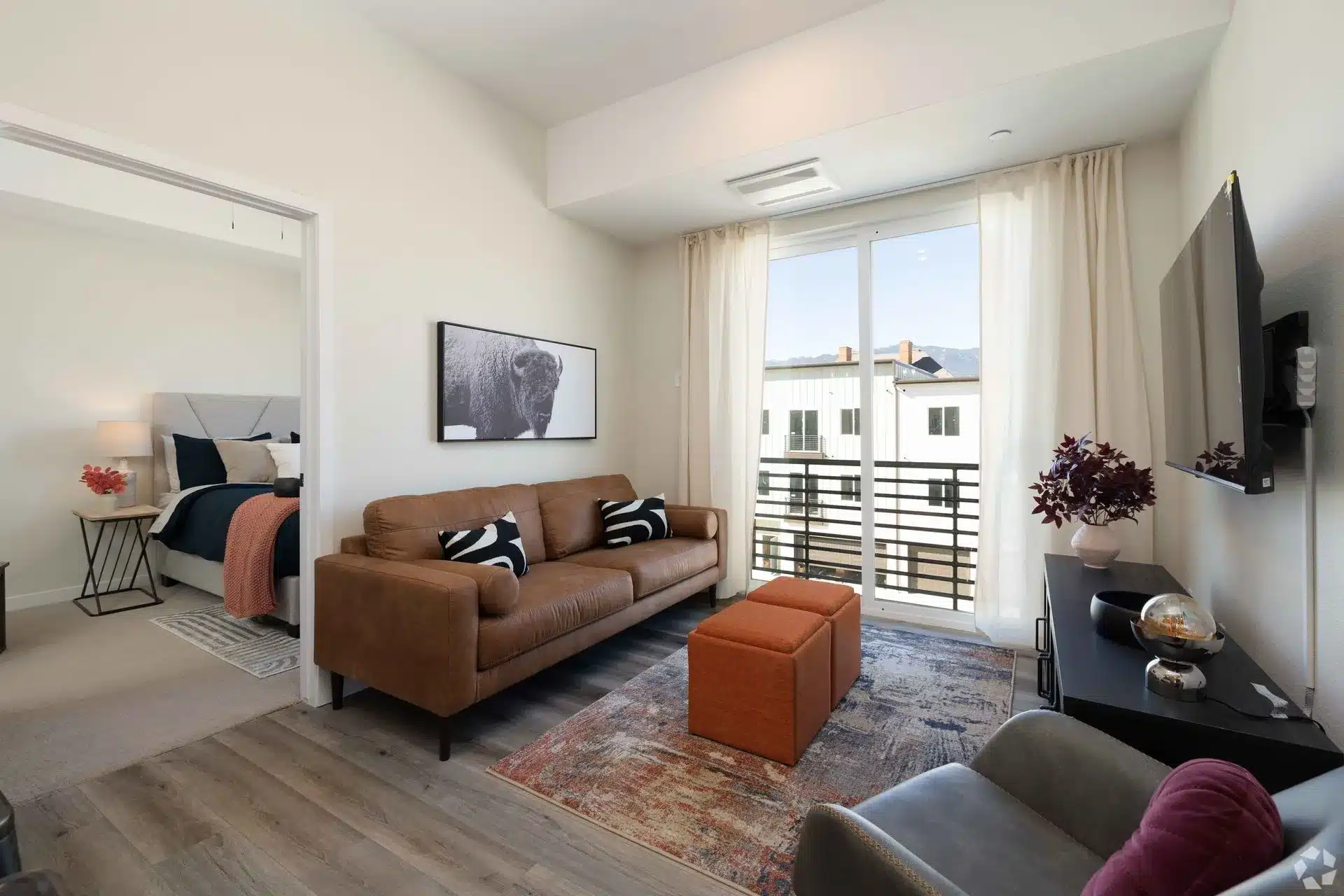Dear Madison Apartments presenting 810 S. Weber St.