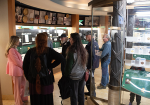 Guided tour - Amanda Miller