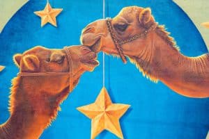 Kissing Camels
