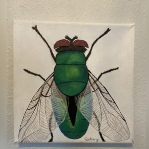 05_Fly_on_the_Wall - Stephen Matich